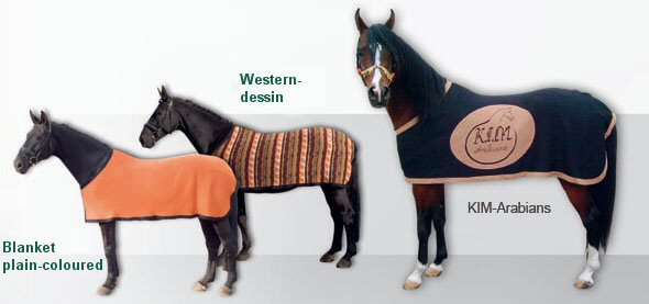 Horse blankets